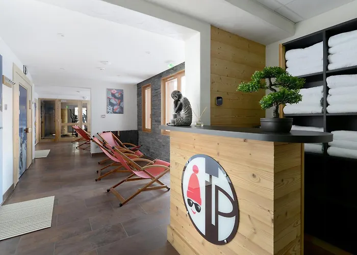 Apartment Renove 8 Pers., Acces Pistes, Espace Bien-etre, Animaux Admis - Fr-1-181-1073